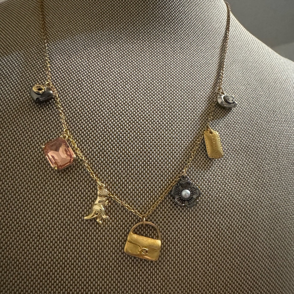 NWT COACH Signature Tabby Charm Necklace